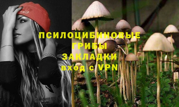 тгк Кодинск