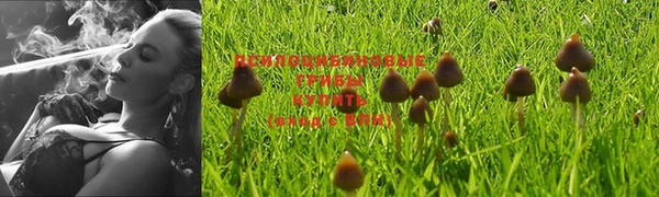 ПСИЛОЦИБИНОВЫЕ ГРИБЫ Кинешма